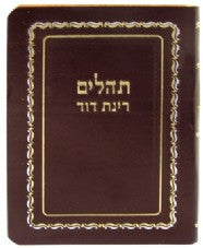 Tehillim with Minchah/Maariv I026